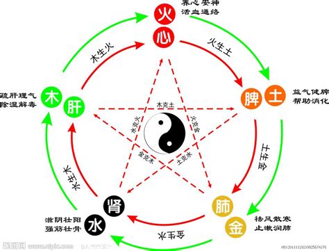 可 五行|可字的五行属什么